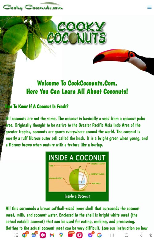 Cookycoconuts.com